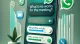 How to Create Polls in WhatsApp